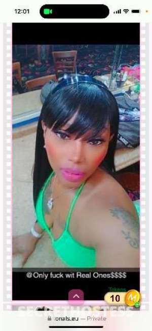 Lucci 27Yrs Old Escort Image - 6
