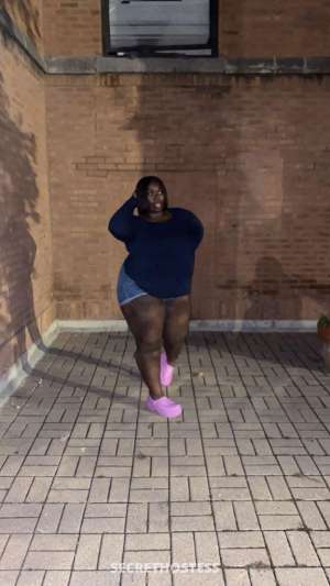 SexyBlack 28Yrs Old Escort Racine WI Image - 8