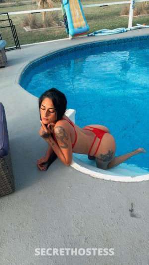 Melany 26Yrs Old Escort Bradenton FL Image - 2