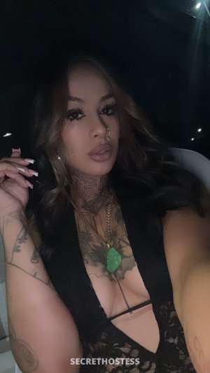 Estephania 25Yrs Old Escort Santa Maria CA Image - 1