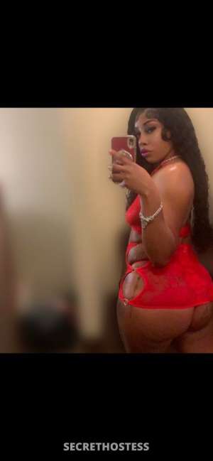 Kaylee 27Yrs Old Escort Baton Rouge LA Image - 2