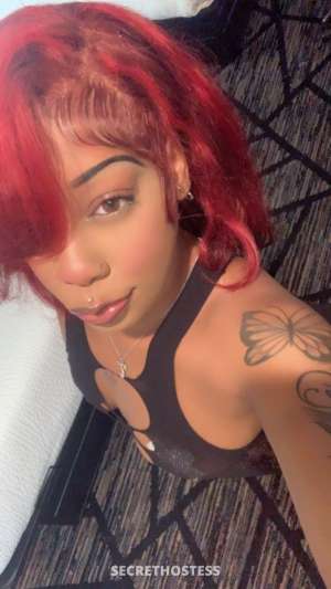 Kaylee 27Yrs Old Escort Baton Rouge LA Image - 4