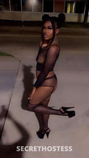 MSCORNBREADFEED 21Yrs Old Escort Dallas TX Image - 1