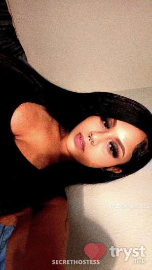 20 year old Mixed Escort in San Jose CA royalty - Pregnant Playmate