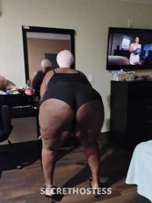 43 year old Escort in Houston TX Text only qv 60 cip kim ebony bbw almeda hobby area 45 south