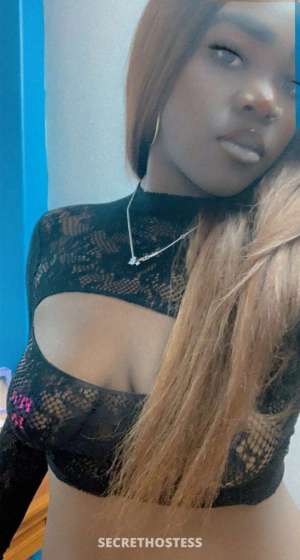24 year old French Escort in Amarillo TX cum chill with prettyp