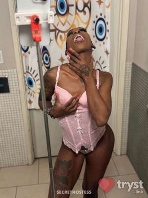 20Yrs Old Escort 157CM Tall Dallas TX Image - 2