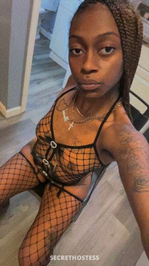 Dutchess 22Yrs Old Escort Killeen TX Image - 1