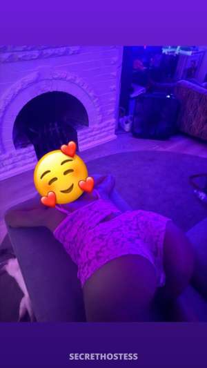 kash 22Yrs Old Escort Image - 2