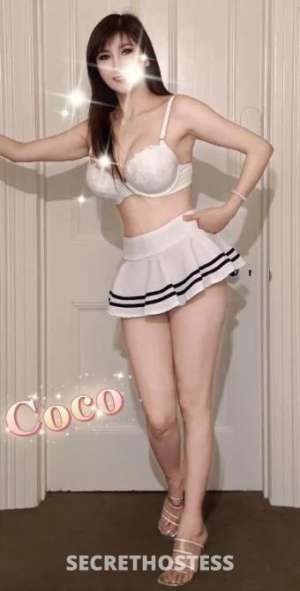 Coco 25Yrs Old Escort Hobart Image - 1