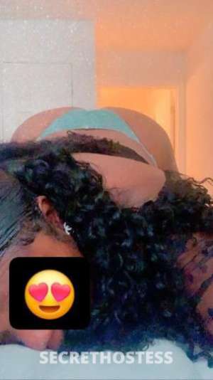 25Yrs Old Escort Washington DC Image - 2