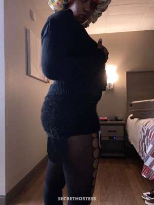 Kk 25Yrs Old Escort Image - 1