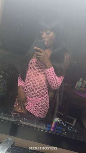 28Yrs Old Escort Chicago IL Image - 2