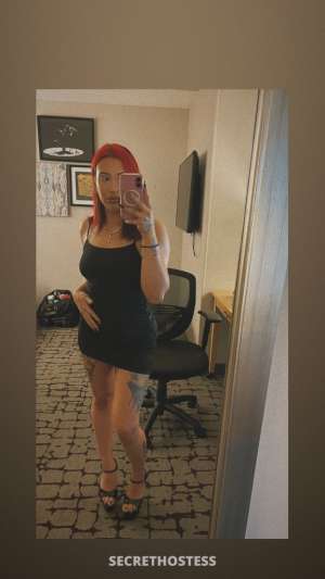 Ally 21Yrs Old Escort Image - 5