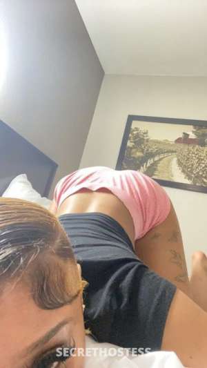 Dulce 21Yrs Old Escort Image - 0