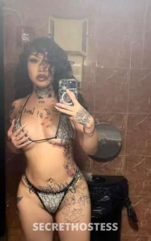 MissLee 25Yrs Old Escort Raleigh NC Image - 1