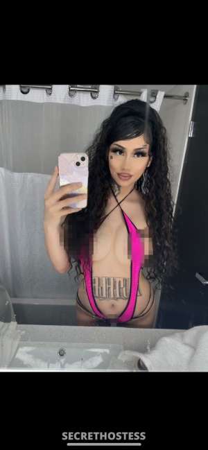 TROPICAL 21Yrs Old Escort Image - 4