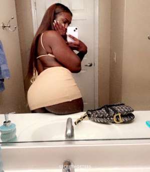 24Yrs Old Escort Lansing MI Image - 1