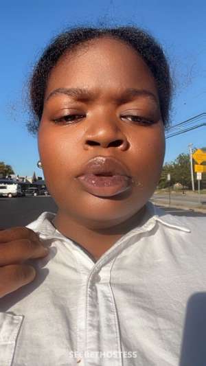 27Yrs Old Escort Reading PA Image - 3