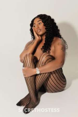 25Yrs Old Escort Washington DC Image - 4