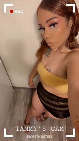 Cali 26Yrs Old Escort Wilmington NC Image - 5