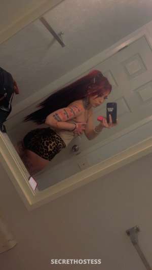 Kayla 27Yrs Old Escort Size 8 Redding CA Image - 1