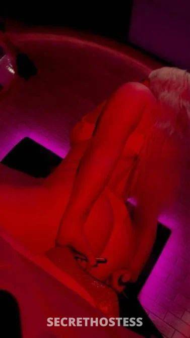 31Yrs Old Escort Size 18 Newcastle Image - 3