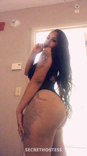 27Yrs Old Escort Image - 5