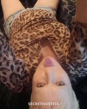 49Yrs Old Escort Sunshine Coast Image - 2