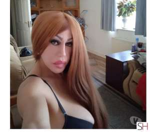 38 year old Latino Escort in East Coast and Midlands Diana 38Yrs Old Latino Escort East Coast and Midlands