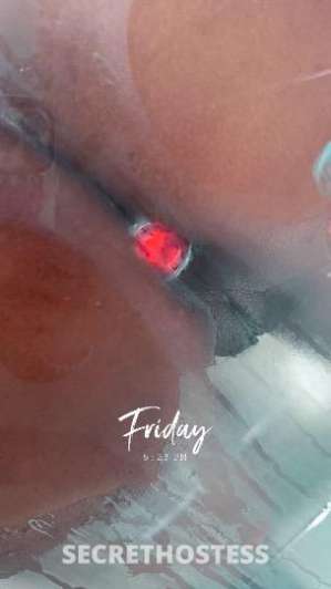Fancy 23Yrs Old Escort Houston TX Image - 3