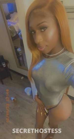 Tiffany 26Yrs Old Escort Jackson MS Image - 4