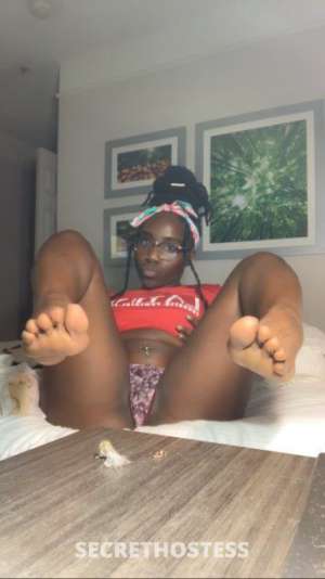 21 year old Escort in Milwaukee WI 21Yrs Old Escort Wild Black Eyes B Cup Cup Milwaukee WI