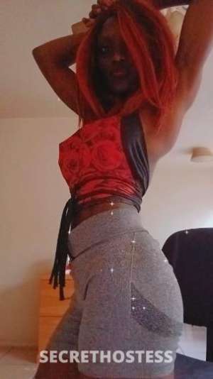 Coco 23Yrs Old Escort Gainesville FL Image - 1