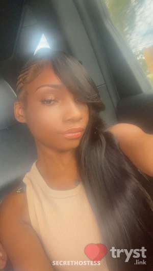 0 year old Escort in Detroit MI Tink Sinclair