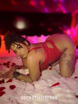 Lauren 27Yrs Old Escort Seattle WA Image - 1