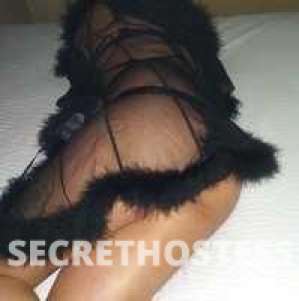 Lauren 27Yrs Old Escort Seattle WA Image - 3