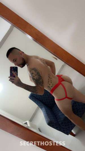 24Yrs Old Escort Sarasota / Bradenton FL Image - 3