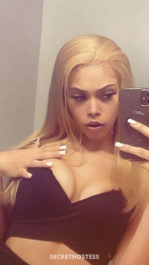 Brielle 21Yrs Old Escort Washington DC Image - 2