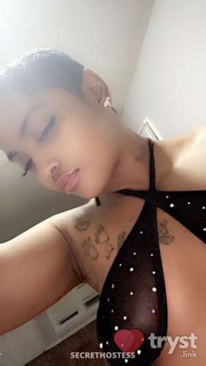 0 year old Escort in St. Louis MO FatCatt - BIG FATCatt NOT the Lil One