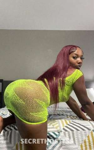 Kitty😻 28Yrs Old Escort Fort Worth TX Image - 6