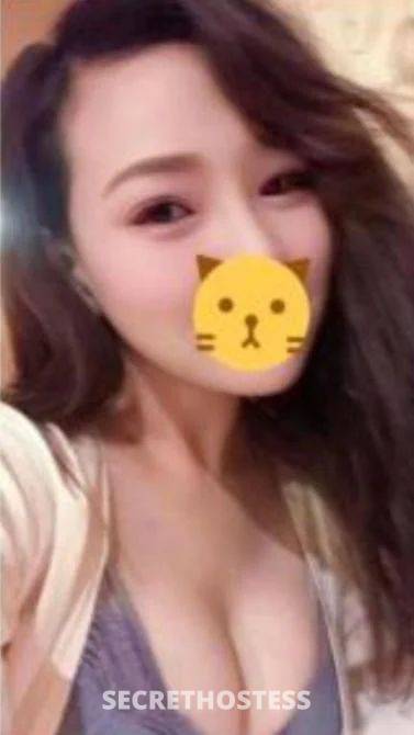 Jenny 22Yrs Old Escort Size 6 155CM Tall Bunbury Image - 2