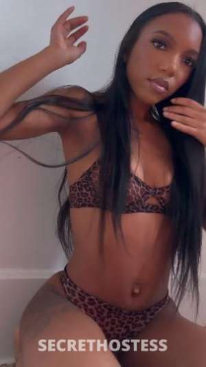 Cee💜 25Yrs Old Escort Cincinnati OH Image - 1