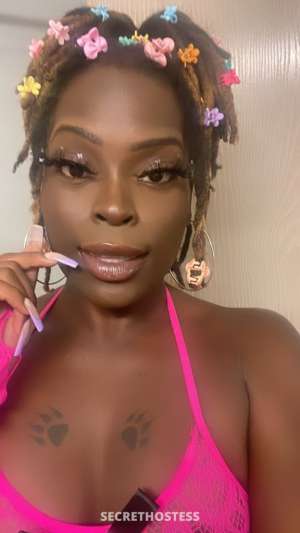 KASHMIEREBARBIE 24Yrs Old Escort Las Cruces NM Image - 0