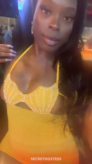 KASHMIEREBARBIE 24Yrs Old Escort Las Cruces NM Image - 6