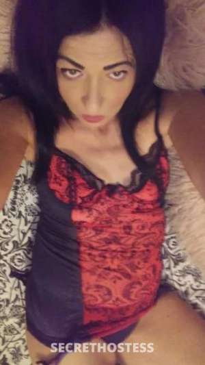 50Yrs Old Escort Gosford Image - 1