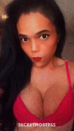 28Yrs Old Escort Mackay Image - 3