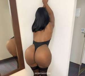 30 year old Hispanic Escort in Markham The best experience of your life is me, come to me