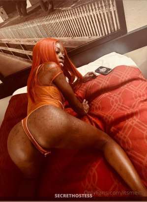 IttyBitty 29Yrs Old Escort Albany GA Image - 2