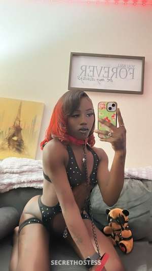 Fantasy 21Yrs Old Escort Image - 0